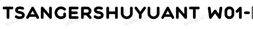 TsangerShuYuanT W01字体转换